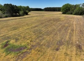 23+/- Acre Farm For Sale in Robeson County NC!