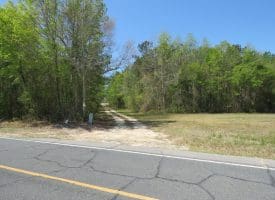 35+/- Acres of Residential and Hunting Land For Sale in Robeson County NC!