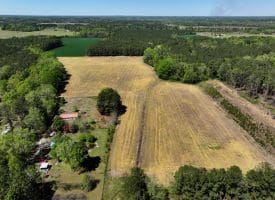 23+/- Acre Farm For Sale in Robeson County NC!