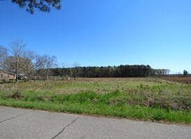 14+/- Acre Farm For Sale in Robeson County NC!