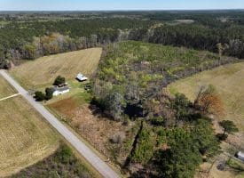 18+/- Acre Farm For Sale in Robeson County NC!