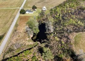 14+/- Acre Farm For Sale in Robeson County NC!