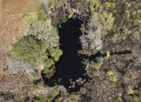 14+/- Acre Farm For Sale in Robeson County NC!
