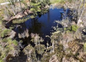 14+/- Acre Farm For Sale in Robeson County NC!