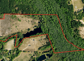 85+/- Acres of Hunting and Residential Land For Sale in Robeson County, NC