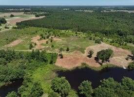 85+/- Acres of Hunting and Residential Land For Sale in Robeson County, NC