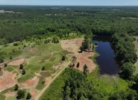 85+/- Acres of Hunting and Residential Land For Sale in Robeson County, NC