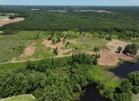 85+/- Acres of Hunting and Residential Land For Sale in Robeson County, NC