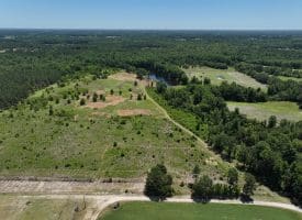 85+/- Acres of Hunting and Residential Land For Sale in Robeson County, NC