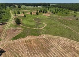 85+/- Acres of Hunting and Residential Land For Sale in Robeson County, NC