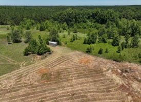 85+/- Acres of Hunting and Residential Land For Sale in Robeson County, NC