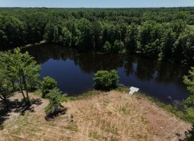 85+/- Acres of Hunting and Residential Land For Sale in Robeson County, NC