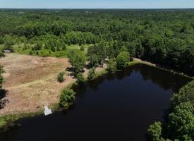 85+/- Acres of Hunting and Residential Land For Sale in Robeson County, NC