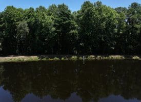 85+/- Acres of Hunting and Residential Land For Sale in Robeson County, NC