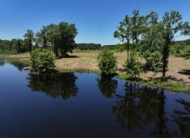 85+/- Acres of Hunting and Residential Land For Sale in Robeson County, NC