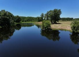 85+/- Acres of Hunting and Residential Land For Sale in Robeson County, NC