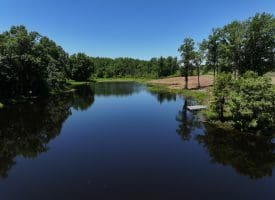 85+/- Acres of Hunting and Residential Land For Sale in Robeson County, NC