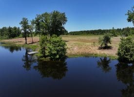 85+/- Acres of Hunting and Residential Land For Sale in Robeson County, NC