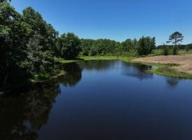 85+/- Acres of Hunting and Residential Land For Sale in Robeson County, NC