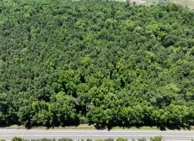62+/- Acres of Residential and Hunting Land For Sale in Robeson County, NC