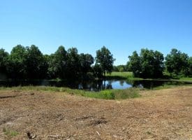 85+/- Acres of Hunting and Residential Land For Sale in Robeson County, NC