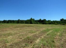 85+/- Acres of Hunting and Residential Land For Sale in Robeson County, NC