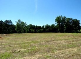 85+/- Acres of Hunting and Residential Land For Sale in Robeson County, NC