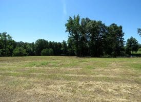 85+/- Acres of Hunting and Residential Land For Sale in Robeson County, NC