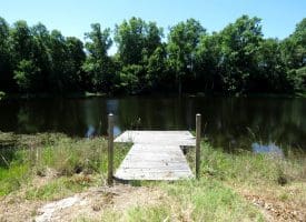85+/- Acres of Hunting and Residential Land For Sale in Robeson County, NC