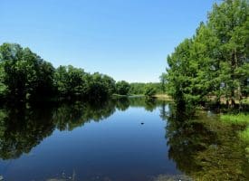 85+/- Acres of Hunting and Residential Land For Sale in Robeson County, NC