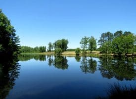 85+/- Acres of Hunting and Residential Land For Sale in Robeson County, NC