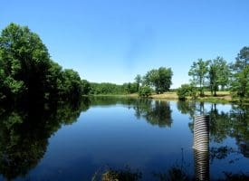85+/- Acres of Hunting and Residential Land For Sale in Robeson County, NC