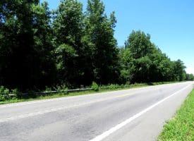 62+/- Acres of Residential and Hunting Land For Sale in Robeson County, NC