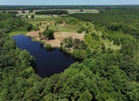 85+/- Acres of Hunting and Residential Land For Sale in Robeson County, NC