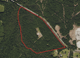 45+/- Acres of Hunting Land For Sale in Columbus County, NC!