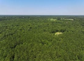 45+/- Acres of Hunting Land For Sale in Columbus County, NC!