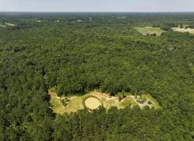 45+/- Acres of Hunting Land For Sale in Columbus County, NC!
