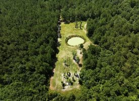 45+/- Acres of Hunting Land For Sale in Columbus County, NC!