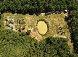 45+/- Acres of Hunting Land For Sale in Columbus County, NC!