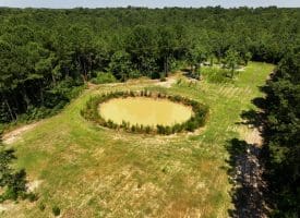 45+/- Acres of Hunting Land For Sale in Columbus County, NC!