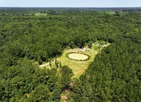 45+/- Acres of Hunting Land For Sale in Columbus County, NC!