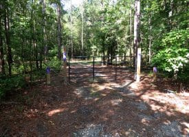 45+/- Acres of Hunting Land For Sale in Columbus County, NC!