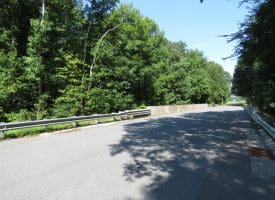45+/- Acres of Hunting Land For Sale in Columbus County, NC!