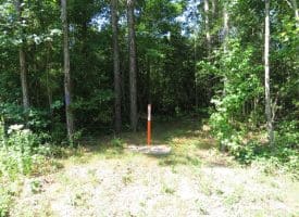 45+/- Acres of Hunting Land For Sale in Columbus County, NC!