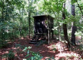 45+/- Acres of Hunting Land For Sale in Columbus County, NC!