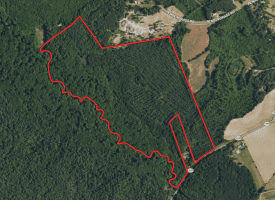 120+/- Acres of Timber Land For Sale in Hoke County, NC!