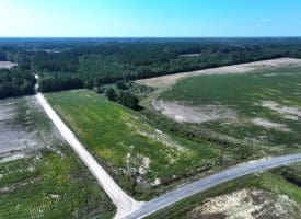 Tract 5 4+/- Acres of Residential and Farm Land for Sale in Robeson County, NC!