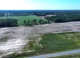 Tract 8 Cowpen 4.5+/- Acres of Residential and Farm Land For Sale in Robeson County, NC!