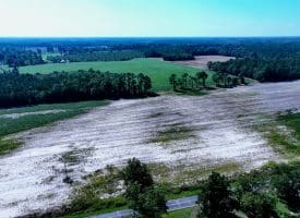 Tract 10 Cowpen 4+/- Acres of Residential and Farm Land For Sale in Robeson County, NC!