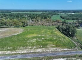 Tract 17 Cowpen 6+/- Acres of Residential and Farm Land For Sale in Robeson County, NC!